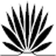 Succulent... icon