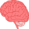 Neuroscie... icon
