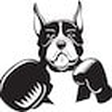 Boxing Ne... icon