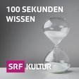100 Sekun... icon