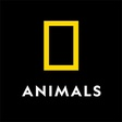 Nat Geo WILD icon