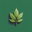 Vegan Soc... icon