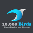 10000birds icon