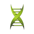 Medical X... icon