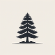 WCSH RSS ... icon