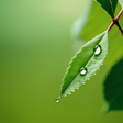 Environme... icon