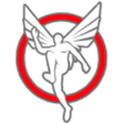 Just Fly ... icon