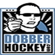DobberHockey icon