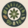 Autoimmun... icon