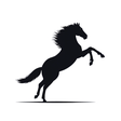 Harnesslink icon