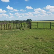 West Texa... icon