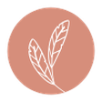 The Feath... icon