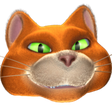 Catseye P... icon