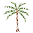 Palm Spri... icon