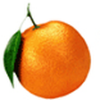 Orange Bi... icon