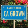 Californi... icon