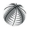NZNBL: Ne... icon