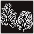 Reef Cent... icon