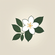Jainperfu... icon