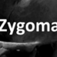 Zygoma icon