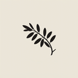 Lifeinisrael icon