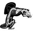Strange B... icon