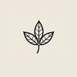 FUNCTIONA... icon