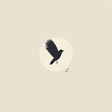 Oxonbirding icon