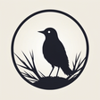 Nibirds icon