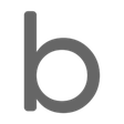 BrainChip icon