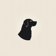 Vadogrescue icon