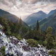 Alpinum I... icon