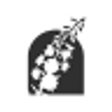 Bloom Gra... icon