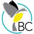 BirdsCari... icon