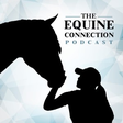 The Equin... icon