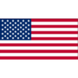American ... icon