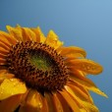 A Blog on... icon