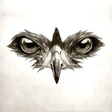 Eagle Eye... icon