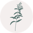 Vegan Anj icon