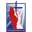 Pray In J... icon