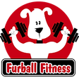 Furball F... icon