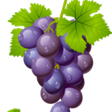 The Grape... icon