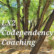 LX2 Codep... icon