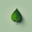 EcoVoice ... icon