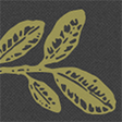 Friendswo... icon