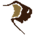Bison Tra... icon