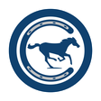 Stampede ... icon