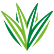 Vistafolia icon
