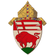 Diocese o... icon