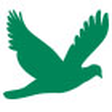 Bird Sology icon